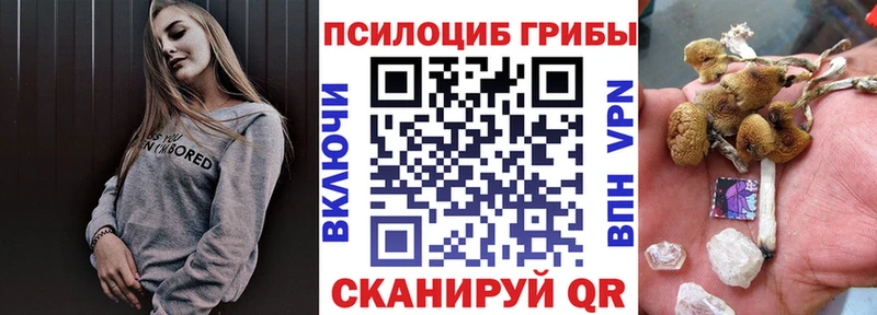 Псилоцибиновые грибы Psilocybine cubensis  Новошахтинск 