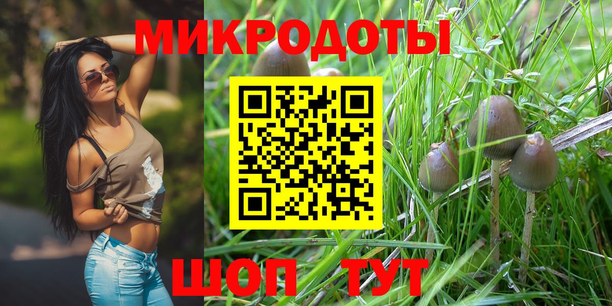 Галлюциногенные грибы Magic Shrooms Новошахтинск