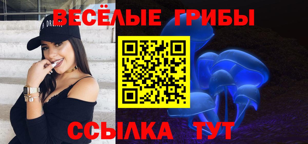 Новошахтинск  Псилоцибиновые грибы Psilocybe  Вход с VPN  Псилоцибиновые грибы ЛСД 